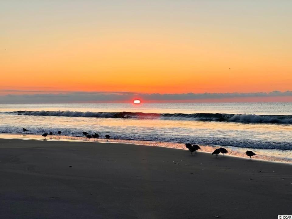 Beautiful Beachfront-Oceanfront First Floor 2Br 2Ba Condo In Cherry Grove, North Myrtle Beach! Renovated With A Fully Equipped Kitchen, 3 Separate Beds, Pool, Private Patio & Steps To The Sand! Exteriér fotografie